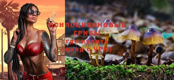 spice Армянск