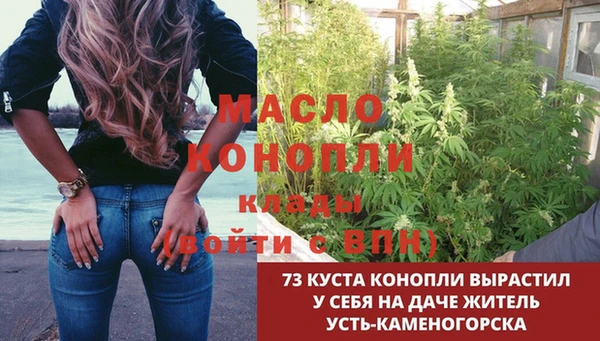 дживик Аркадак