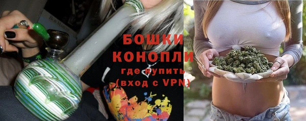 дживик Аркадак