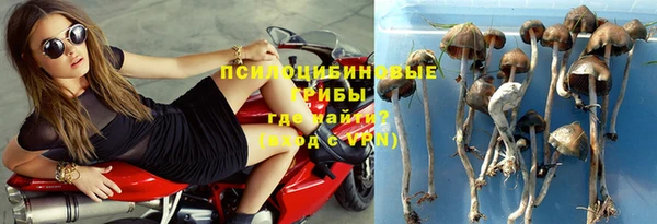 дживик Аркадак