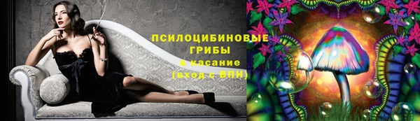 дживик Аркадак